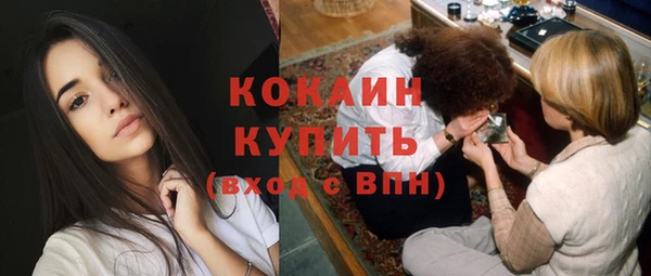 гидра Краснослободск