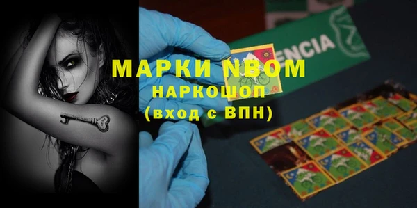 гидра Краснослободск