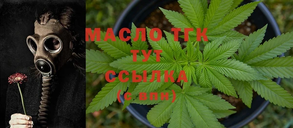 гидра Краснослободск
