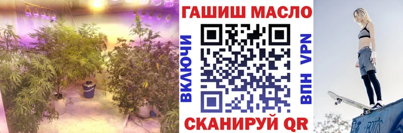 ТГК вейп  kraken как войти  Мамоново  наркошоп 