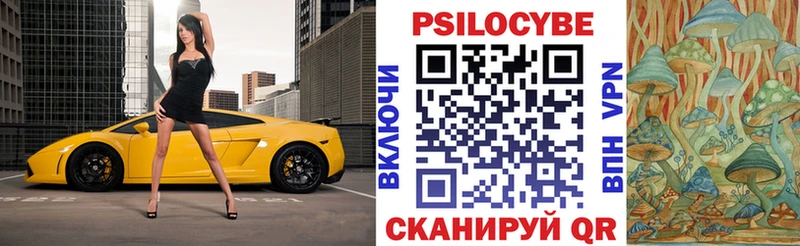 Галлюциногенные грибы Cubensis  кракен онион  Мамоново 
